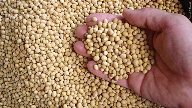 Trump plans aid package for US soybean farmers while seeking trade deal with China